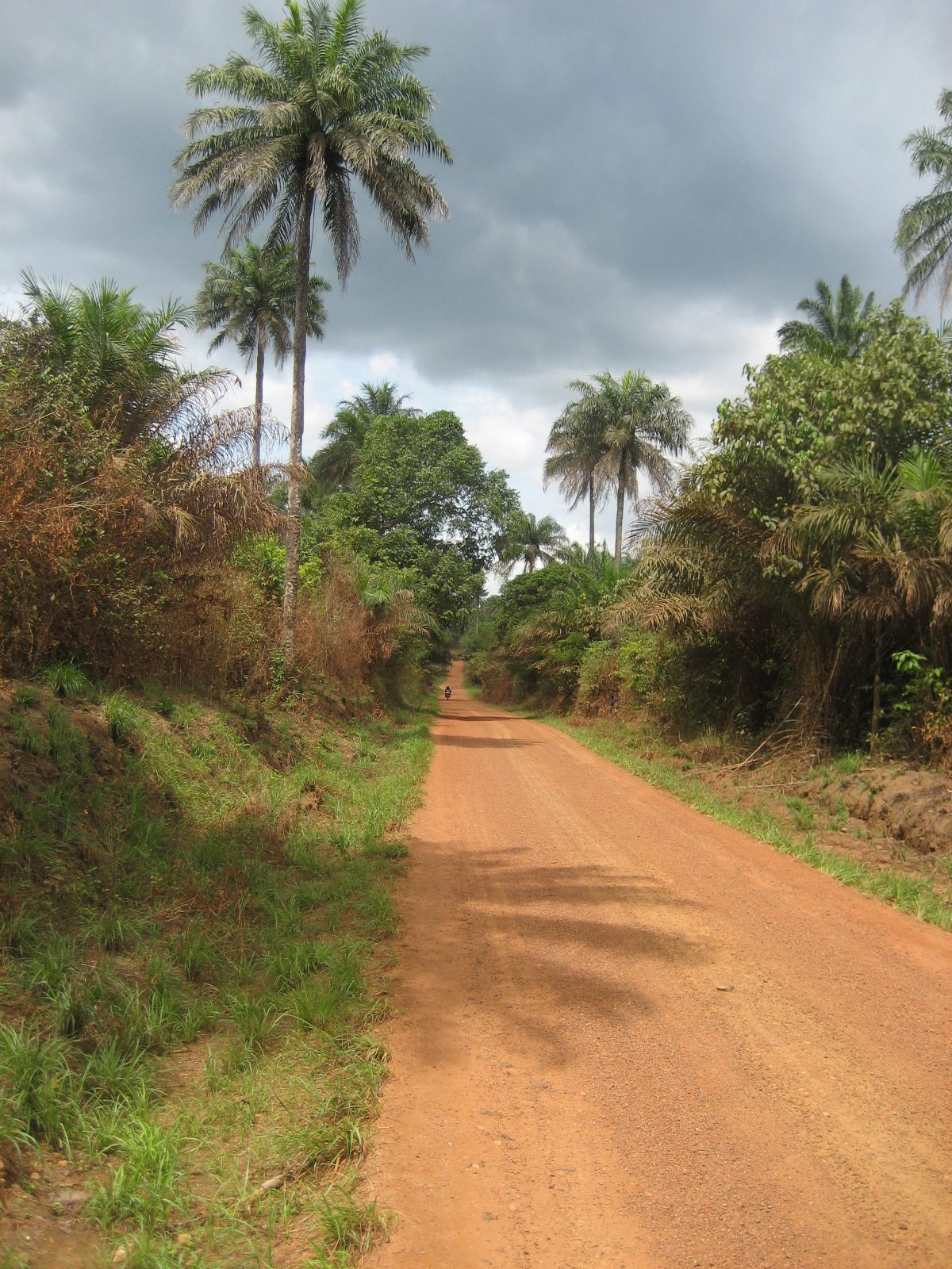The road to Gendema, Sierra Leone
