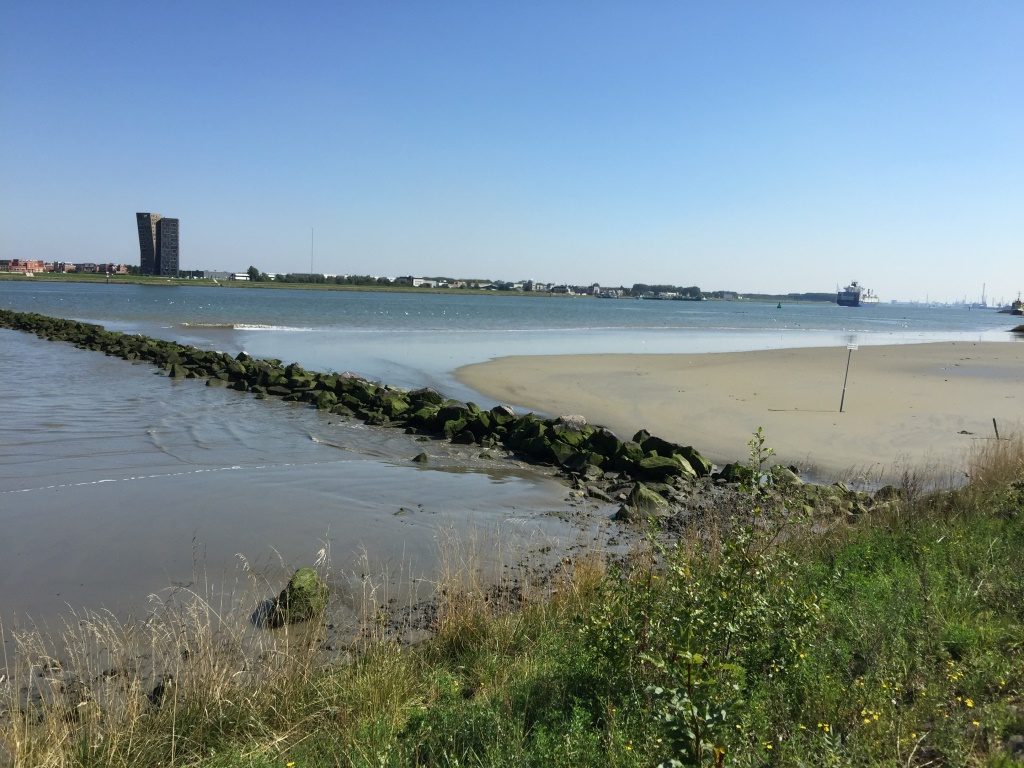 Green Port, Rotterdam, Deltares
